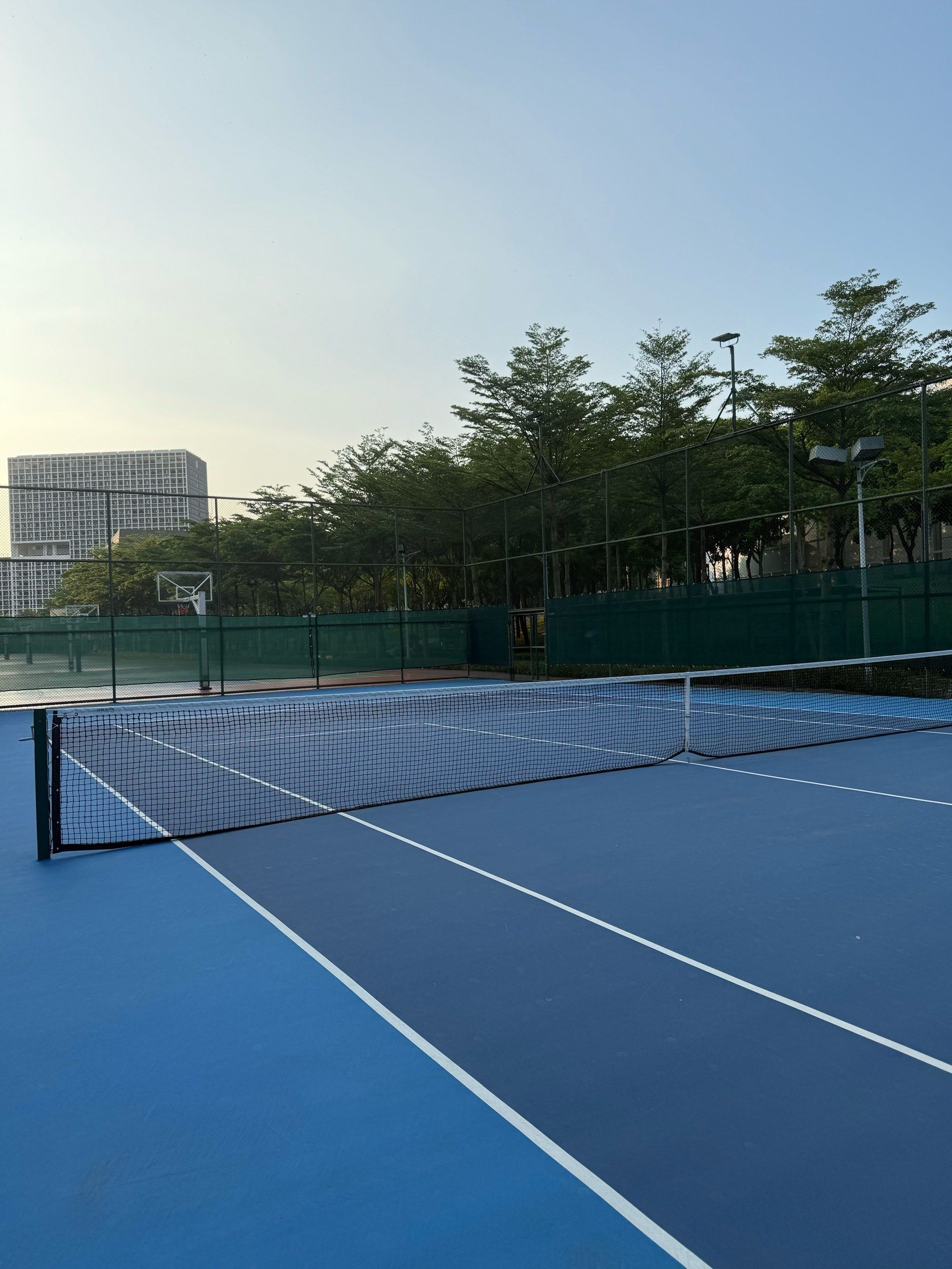 不同的是 不同的是