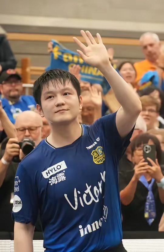 本菲卡每年 本菲卡每年