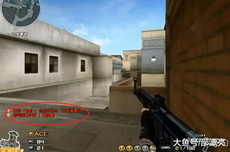 牛与替跑 牛与替跑